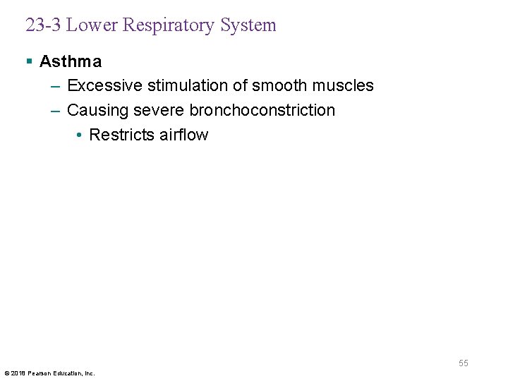 23 -3 Lower Respiratory System § Asthma – Excessive stimulation of smooth muscles –