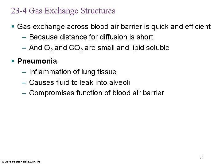 23 -4 Gas Exchange Structures § Gas exchange across blood air barrier is quick