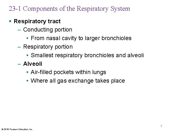 23 -1 Components of the Respiratory System § Respiratory tract – Conducting portion •