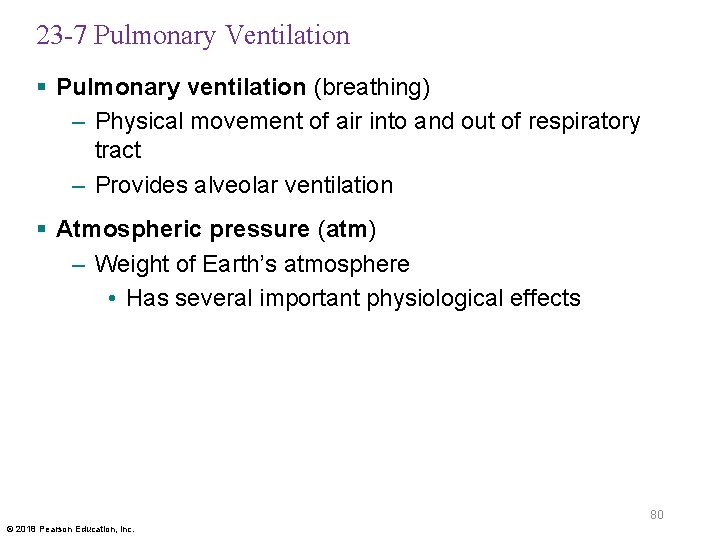 23 -7 Pulmonary Ventilation § Pulmonary ventilation (breathing) – Physical movement of air into