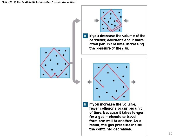 Figure 23– 12 The Relationship between Gas Pressure and Volume. a If you decrease