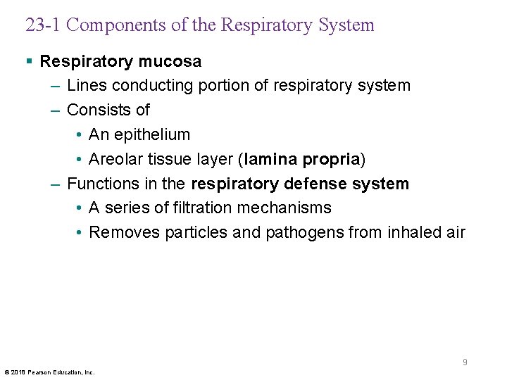 23 -1 Components of the Respiratory System § Respiratory mucosa – Lines conducting portion