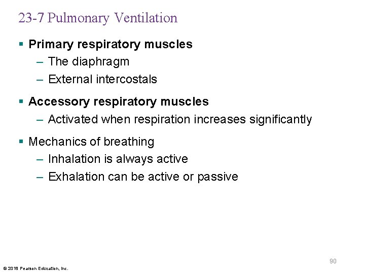 23 -7 Pulmonary Ventilation § Primary respiratory muscles – The diaphragm – External intercostals