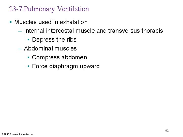 23 -7 Pulmonary Ventilation § Muscles used in exhalation – Internal intercostal muscle and