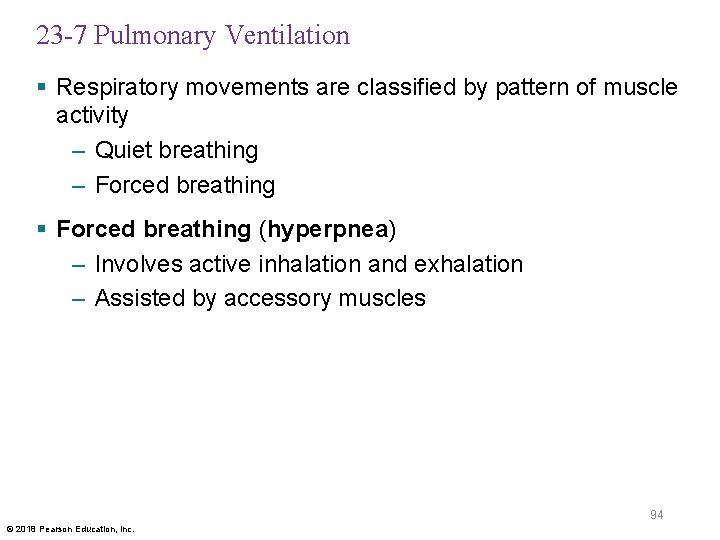 23 -7 Pulmonary Ventilation § Respiratory movements are classified by pattern of muscle activity