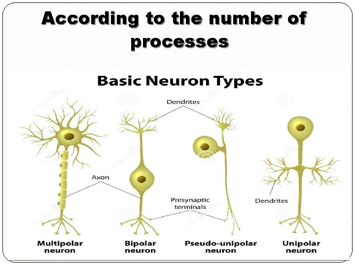 According to the number of processes 