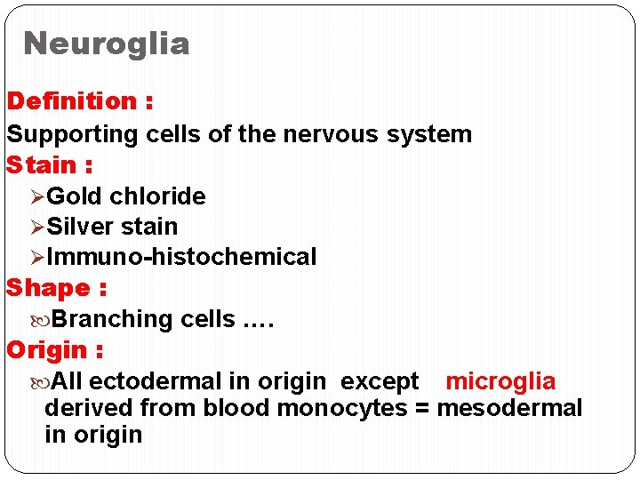 Neuroglia Definition : Supporting cells of the nervous system Stain : ØGold chloride ØSilver