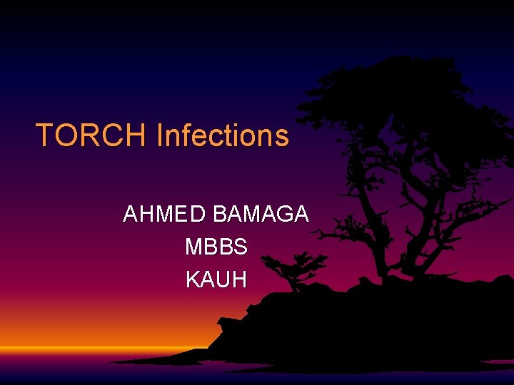 TORCH Infections AHMED BAMAGA MBBS KAUH 