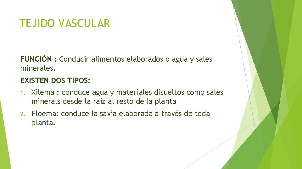 TEJIDO VASCULAR FUNCIÓN : Conducir alimentos elaborados o agua y sales minerales. EXISTEN DOS
