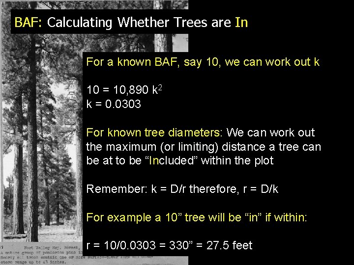 BAF: Calculating Whether Trees are In For a known BAF, say 10, we can