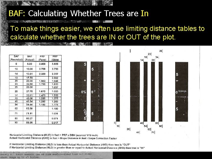 BAF: Calculating Whether Trees are In To make things easier, we often use limiting