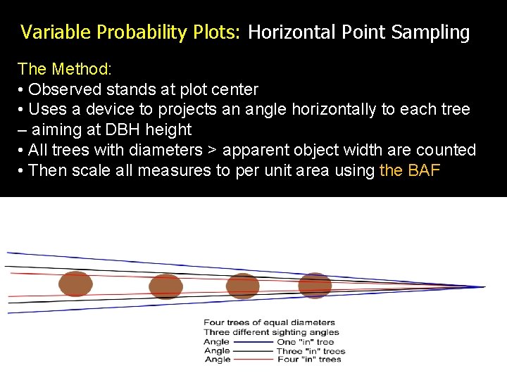 Variable Probability Plots: Horizontal Point Sampling The Method: • Observed stands at plot center