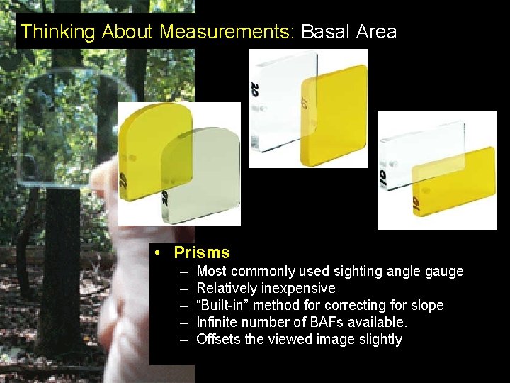 Thinking About Measurements: Basal Area • Prisms – – – Most commonly used sighting