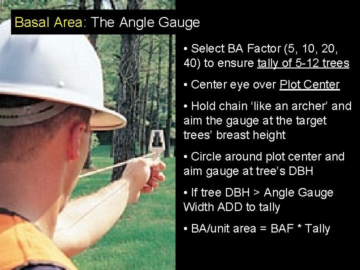 Basal Area: The Angle Gauge • Select BA Factor (5, 10, 20, 40) to