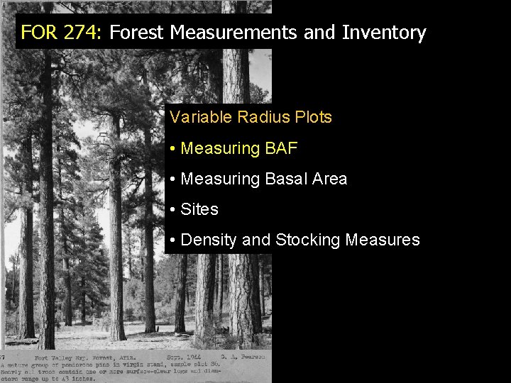 FOR 274: Forest Measurements and Inventory Variable Radius Plots • Measuring BAF • Measuring