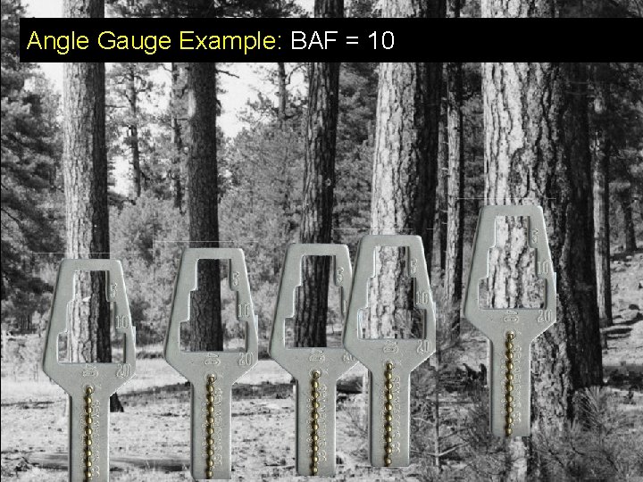 Angle Gauge Example: BAF = 10 