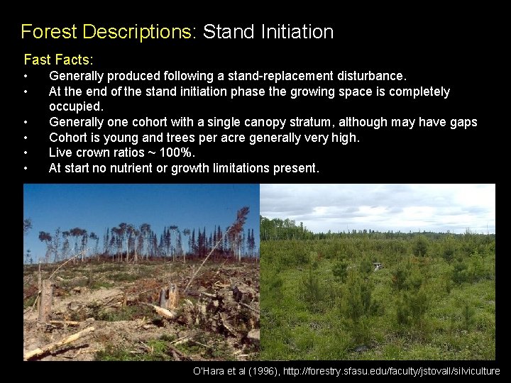 Forest Descriptions: Stand Initiation Fast Facts: • • • Generally produced following a stand-replacement