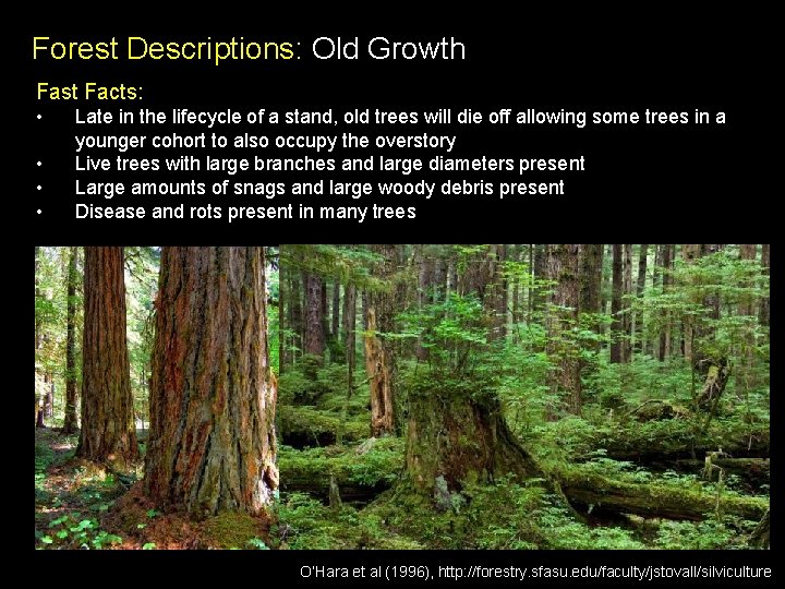 Forest Descriptions: Old Growth Fast Facts: • • Late in the lifecycle of a