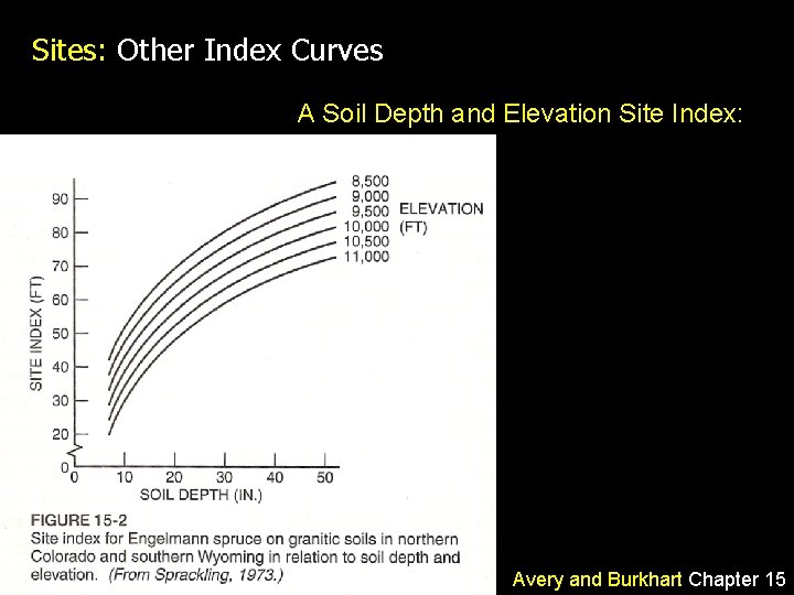 Sites: Other Index Curves A Soil Depth and Elevation Site Index: Avery and Burkhart
