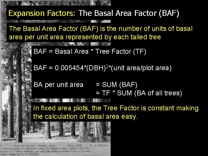 Expansion Factors: The Basal Area Factor (BAF) is the number of units of basal