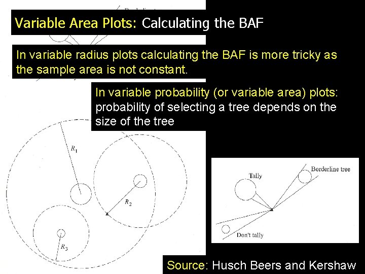 Variable Area Plots: Calculating the BAF In variable radius plots calculating the BAF is