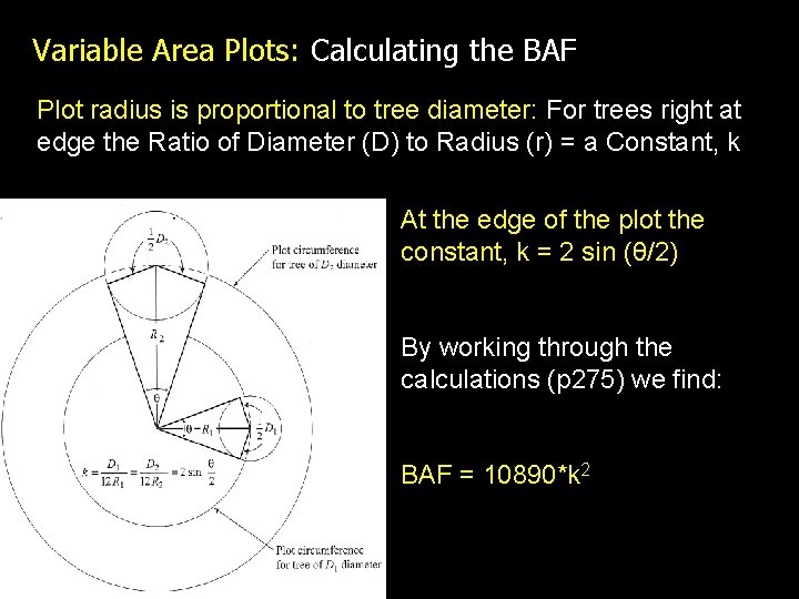 Variable Area Plots: Calculating the BAF Plot radius is proportional to tree diameter: For