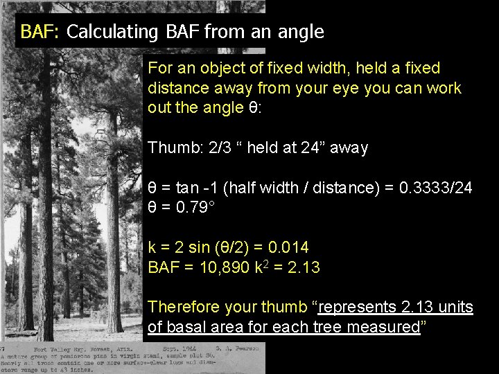 BAF: Calculating BAF from an angle For an object of fixed width, held a