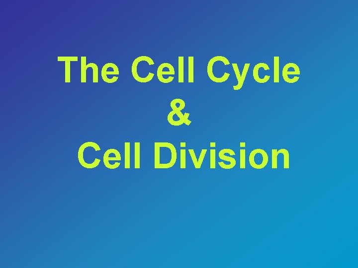The Cell Cycle & Cell Division 