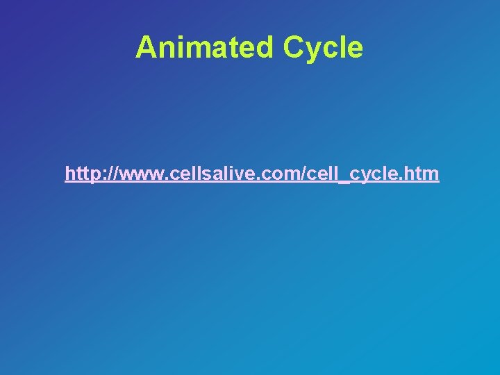 Animated Cycle http: //www. cellsalive. com/cell_cycle. htm 