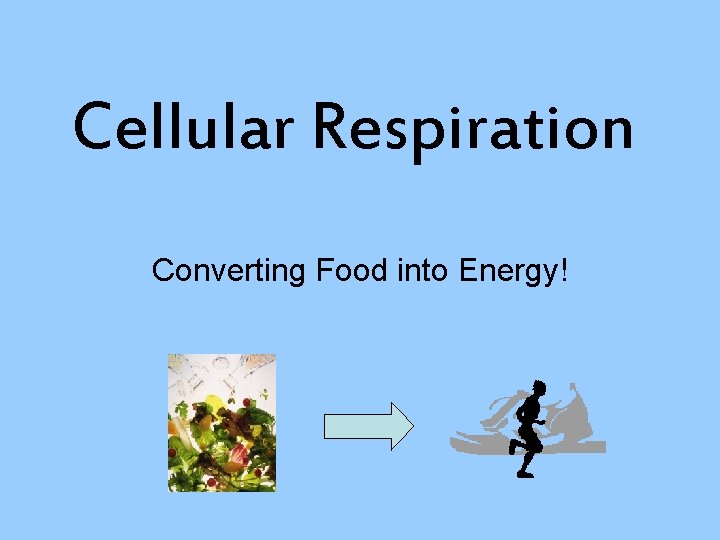 Cellular Respiration Converting Food into Energy! 