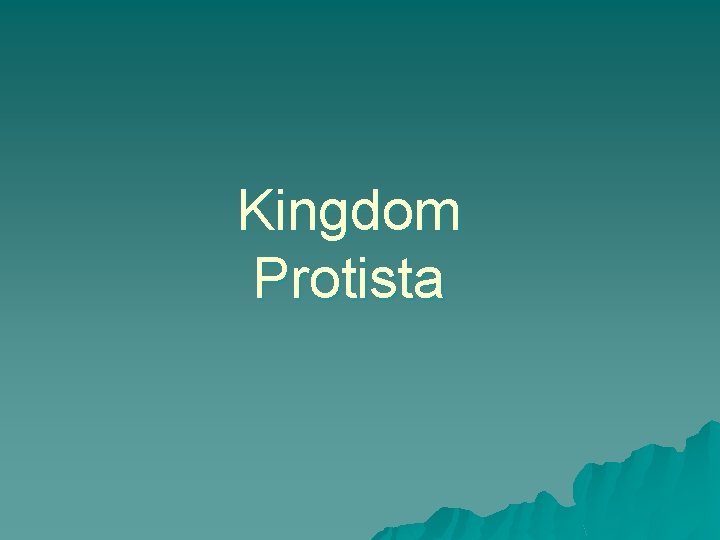 Kingdom Protista 