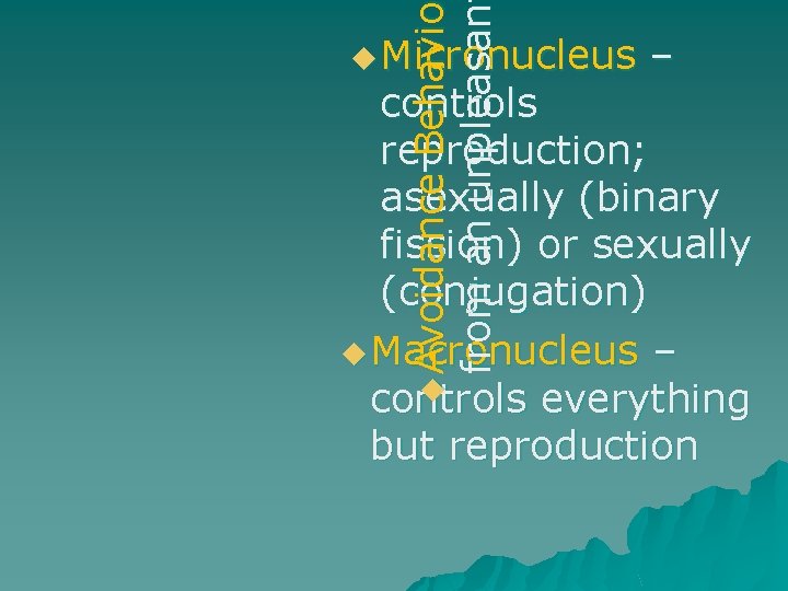 Behavio Behavi from an unpleasan u Micronucleus – u Avoidance controls reproduction; asexually (binary Behavio Behavi from an unpleasan u Micronucleus – u Avoidance controls reproduction; asexually (binary