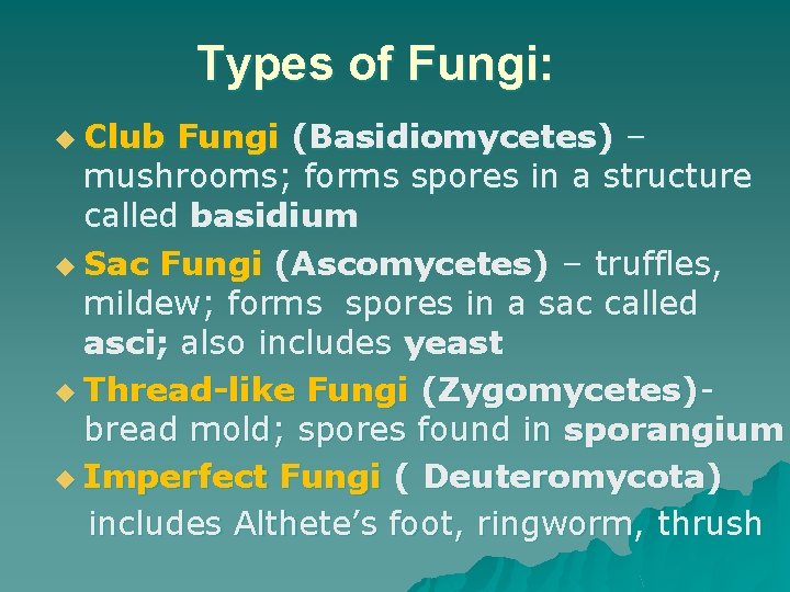 Types of Fungi: u Club Fungi (Basidiomycetes) – mushrooms; forms spores in a structure