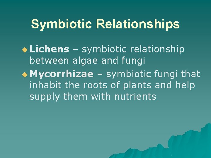 Symbiotic Relationships u Lichens – symbiotic relationship between algae and fungi u Mycorrhizae –