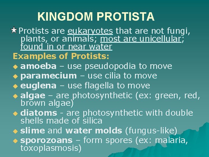 KINGDOM PROTISTA Protists are eukaryotes that are not fungi, plants, or animals; most are