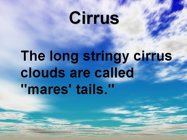 Cirrus The long stringy cirrus clouds are called "mares' tails. " 