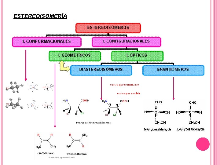 ESTEREOISOMERÍA 