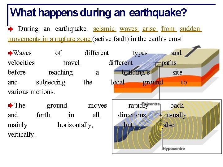 What happens during an earthquake? During an earthquake, seismic waves arise from sudden movements