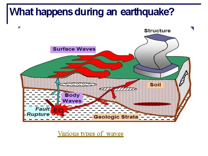 What happens during an earthquake? Various types of waves 