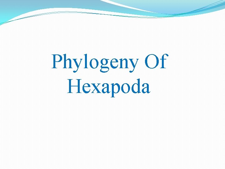 Phylogeny Of Hexapoda 