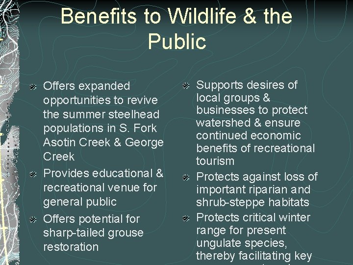 Benefits to Wildlife & the Public Offers expanded opportunities to revive the summer steelhead Benefits to Wildlife & the Public Offers expanded opportunities to revive the summer steelhead