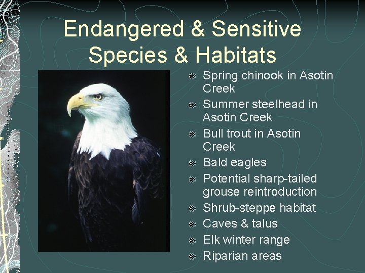 Endangered & Sensitive Species & Habitats Spring chinook in Asotin Creek Summer steelhead in Endangered & Sensitive Species & Habitats Spring chinook in Asotin Creek Summer steelhead in