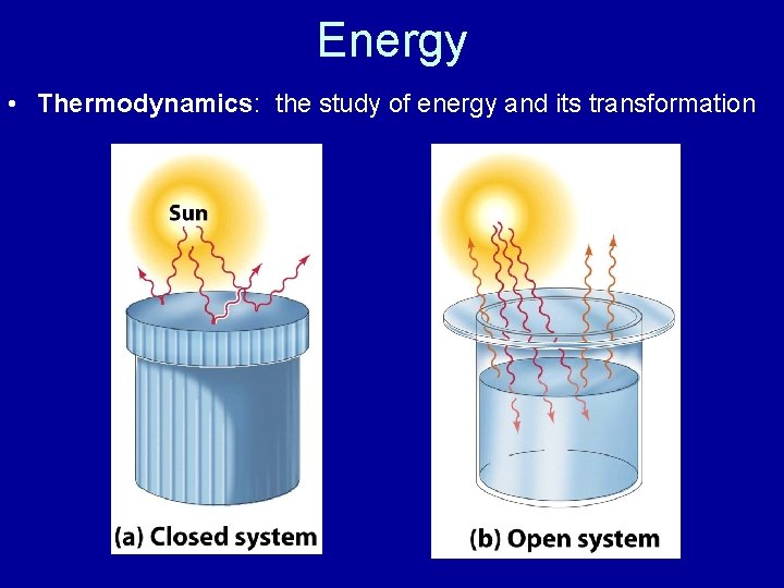 Energy • Thermodynamics: the study of energy and its transformation 