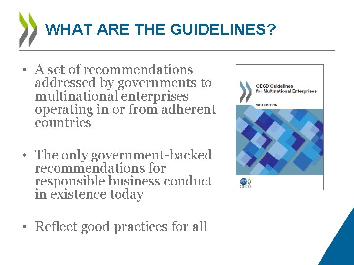 WHAT ARE THE GUIDELINES? • A set of recommendations addressed by governments to multinational