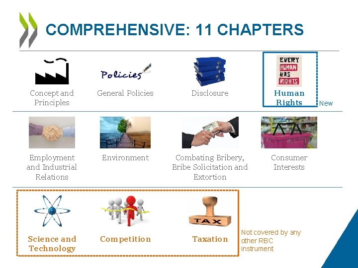 COMPREHENSIVE: 11 CHAPTERS Concept and Principles General Policies Disclosure Human Rights Employment and Industrial