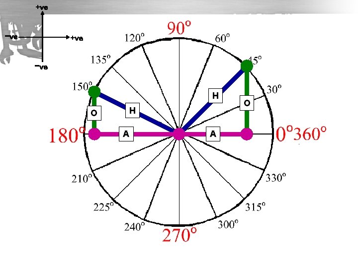 +ve −ve H O H A A O 