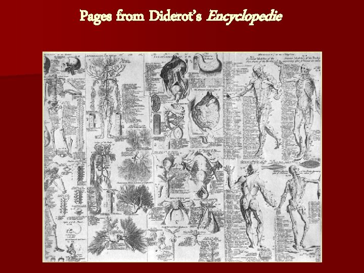 Pages from Diderot’s Encyclopedie 