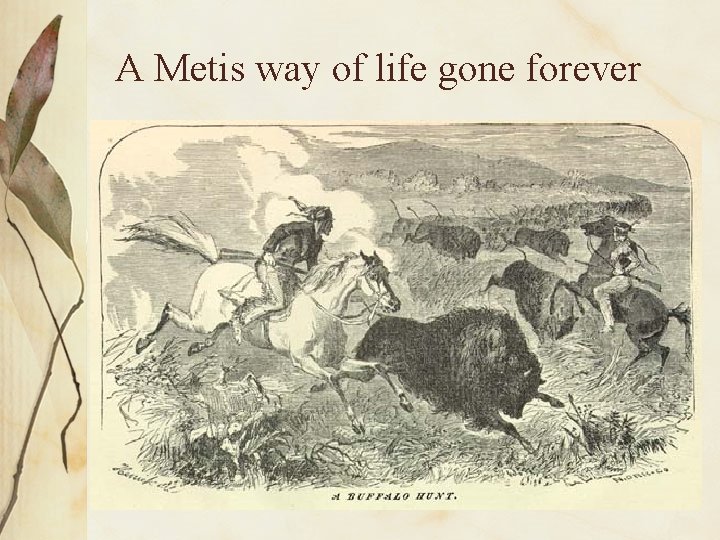 A Metis way of life gone forever 