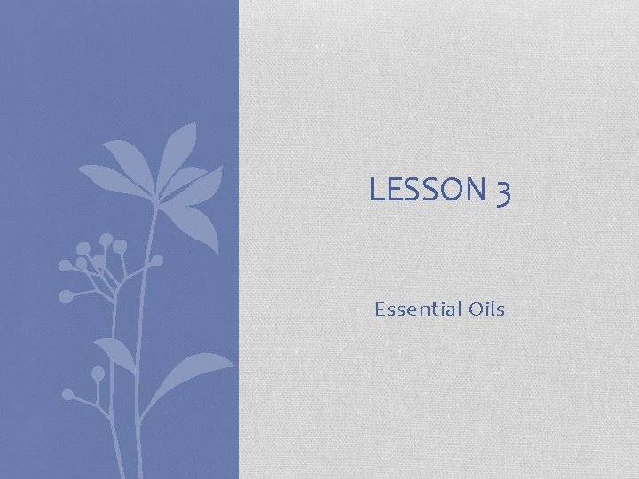 LESSON 3 Essential Oils 