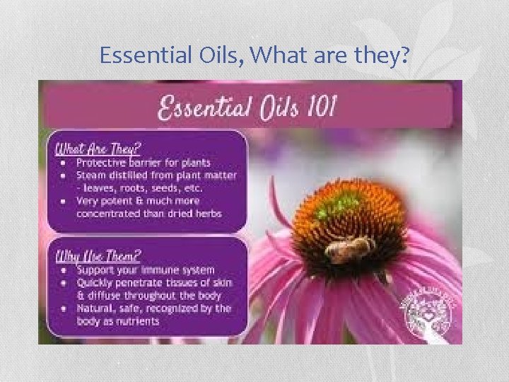 Essential Oils, What are they? 